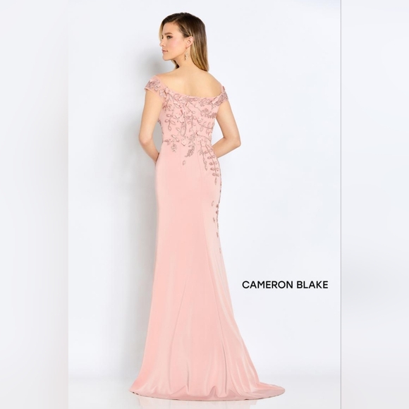Cameron Blake formal gown size 8, English Rose - Picture 3 of 6